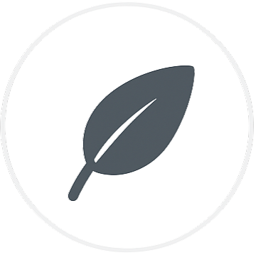 Feature 4 Icon